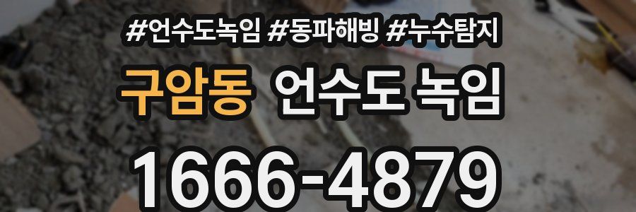 구암동 언수도 녹임