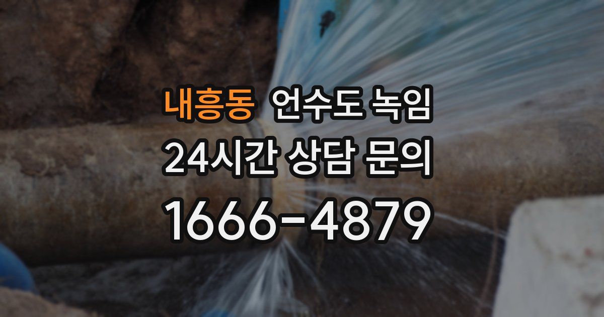 내흥동 언수도 녹임