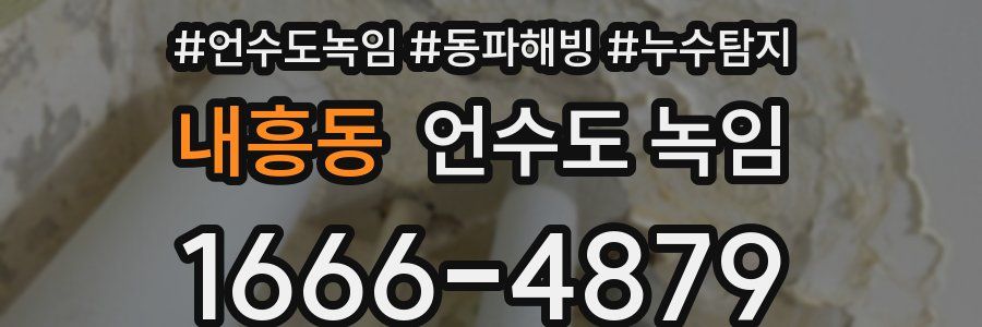 내흥동 언수도 녹임