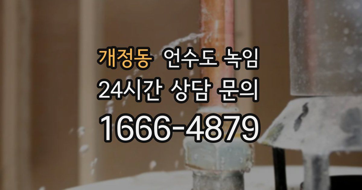 개정동 언수도 녹임