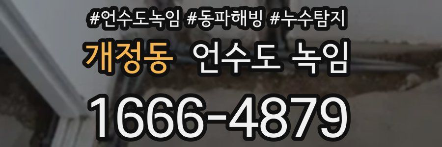 개정동 언수도 녹임