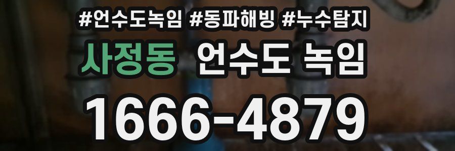 사정동 언수도 녹임