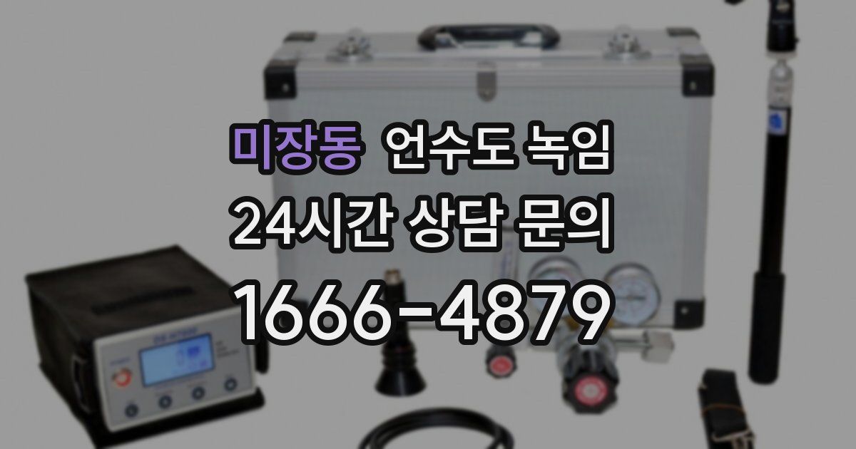 미장동 언수도 녹임