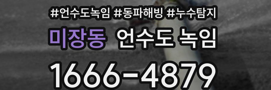 미장동 언수도 녹임