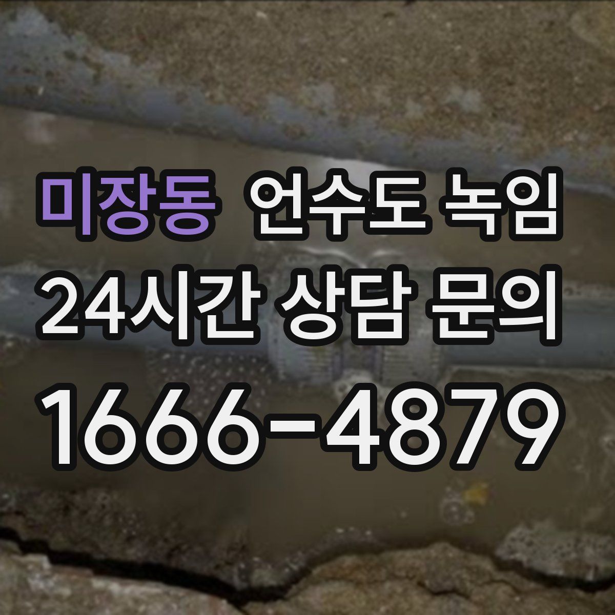 미장동 언수도 녹임