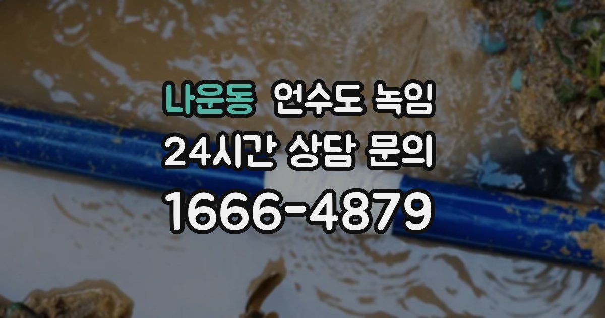 나운동 언수도 녹임