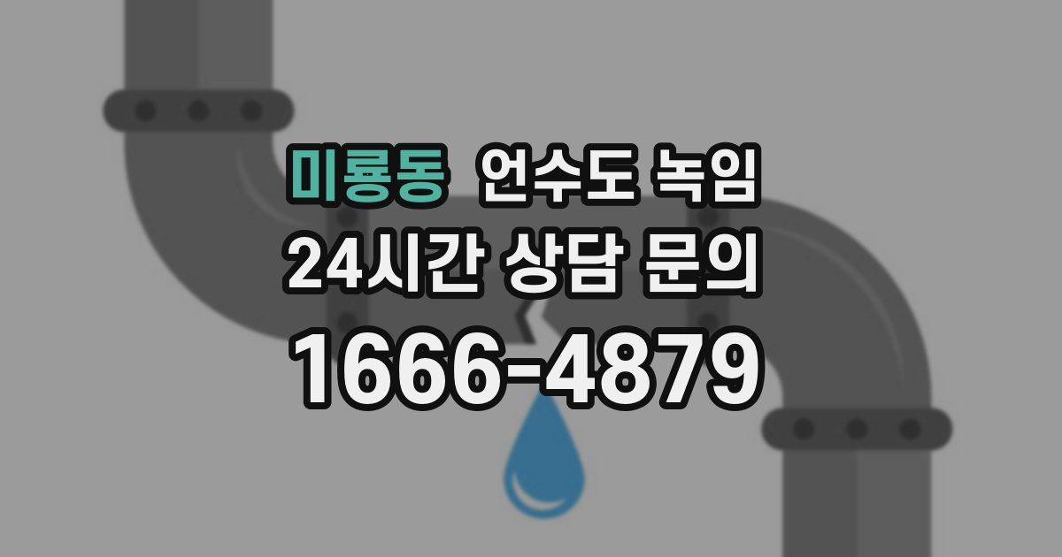 미룡동 언수도 녹임