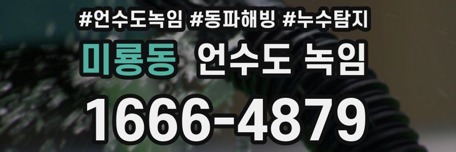 미룡동 언수도 녹임