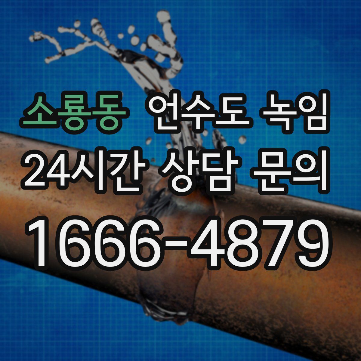 소룡동 언수도 녹임