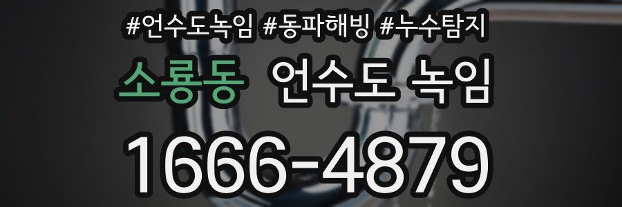 소룡동 언수도 녹임