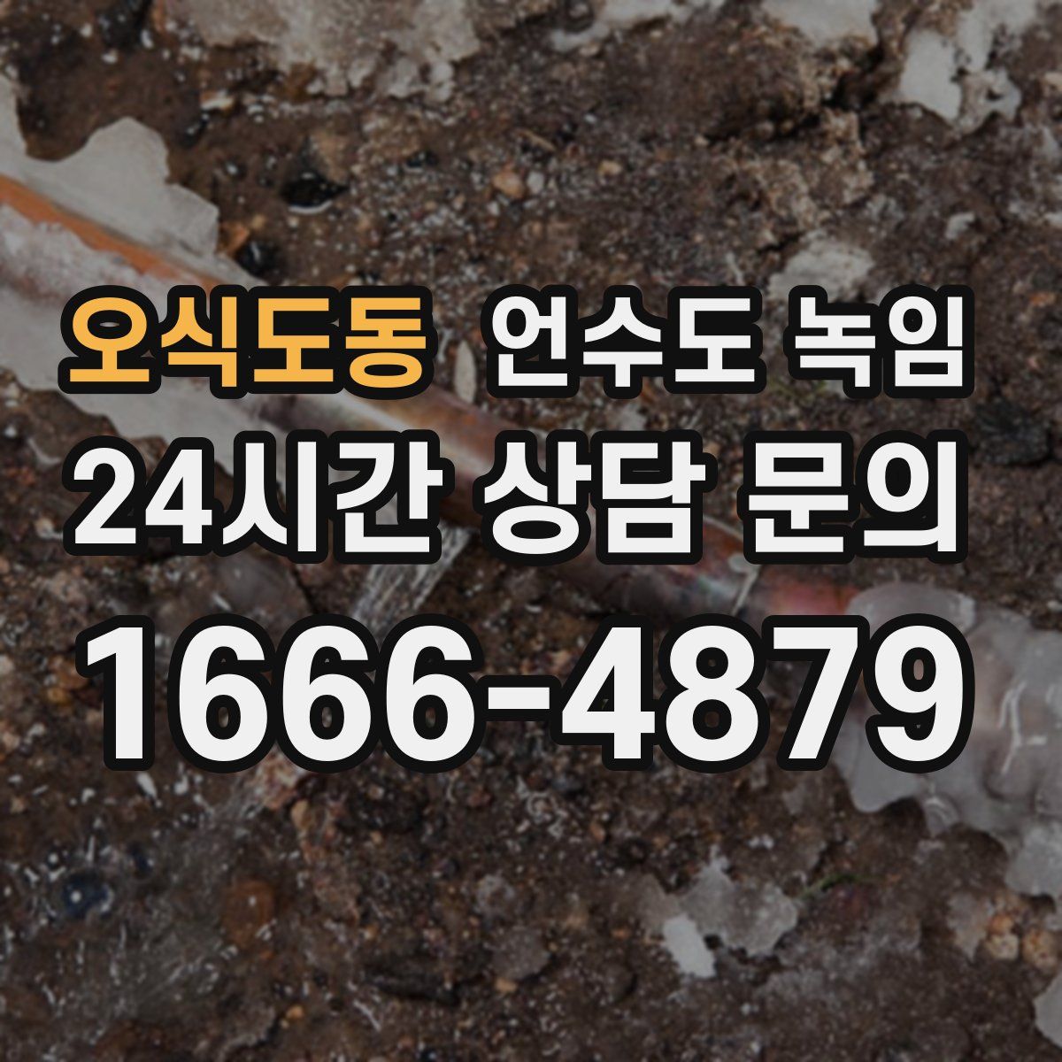 오식도동 언수도 녹임