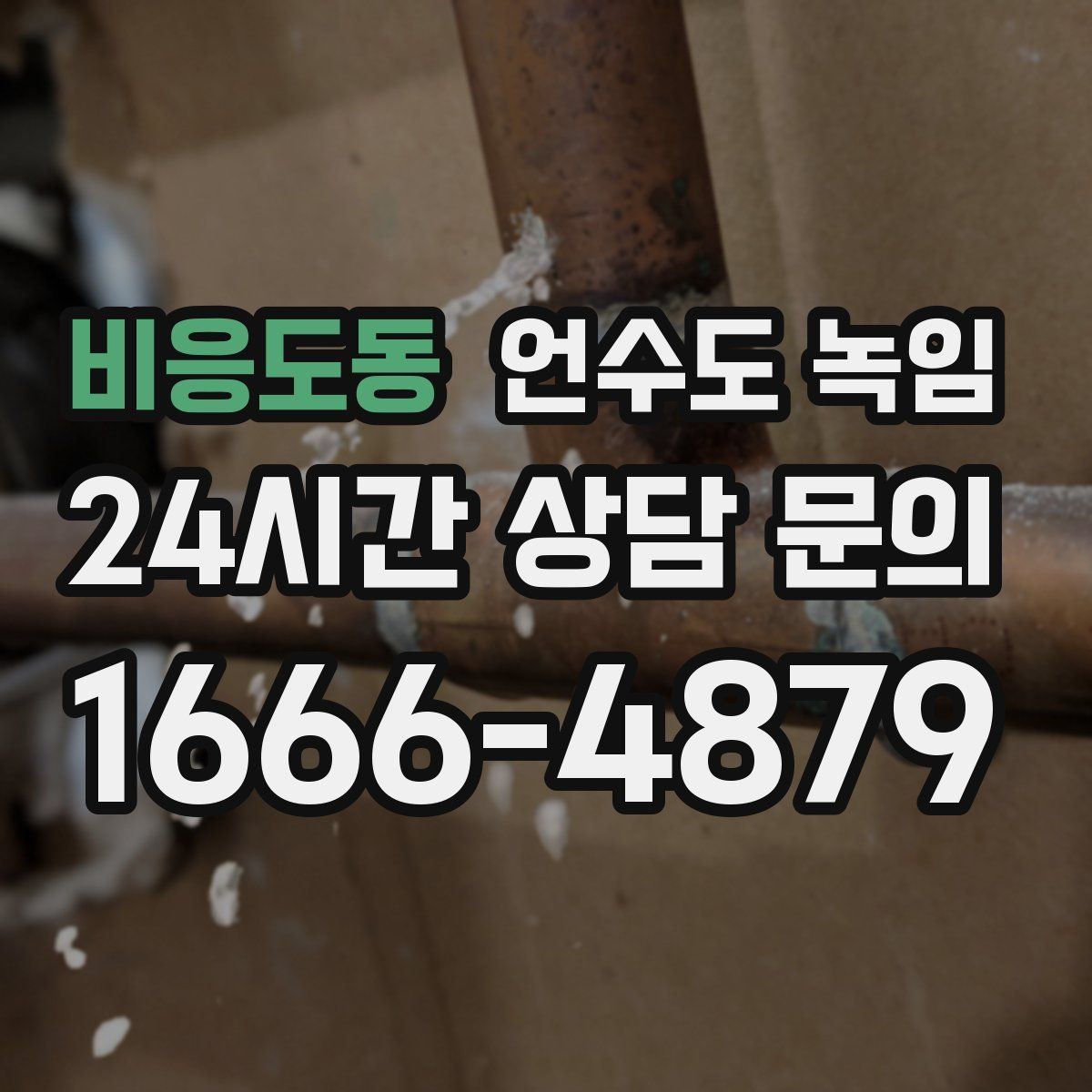 비응도동 언수도 녹임