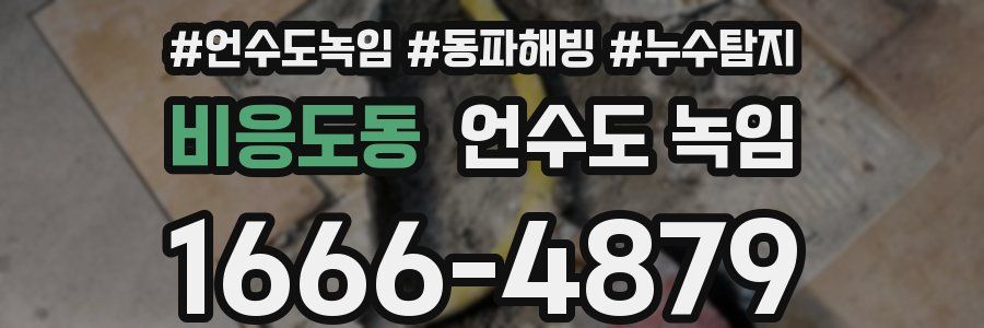 비응도동 언수도 녹임