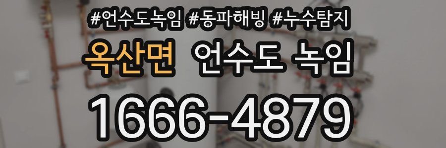 옥산면 언수도 녹임