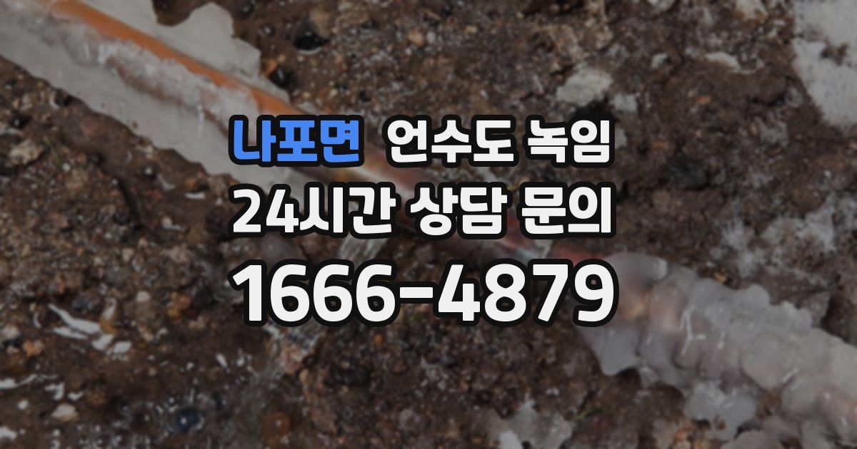 나포면 언수도 녹임