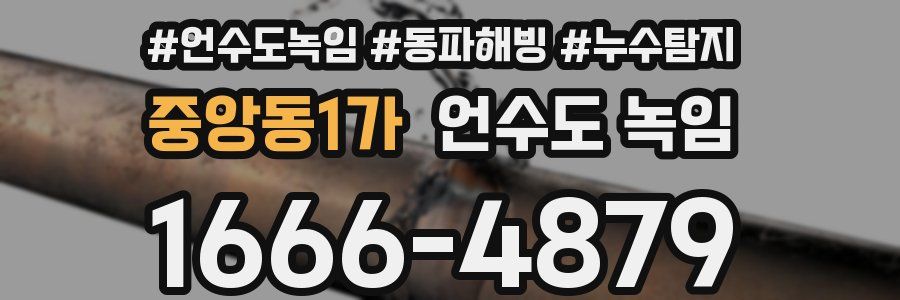 중앙동1가 언수도 녹임