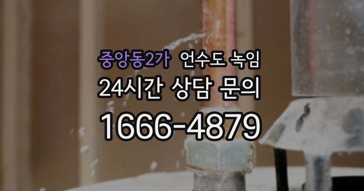 중앙동2가 언수도 녹임