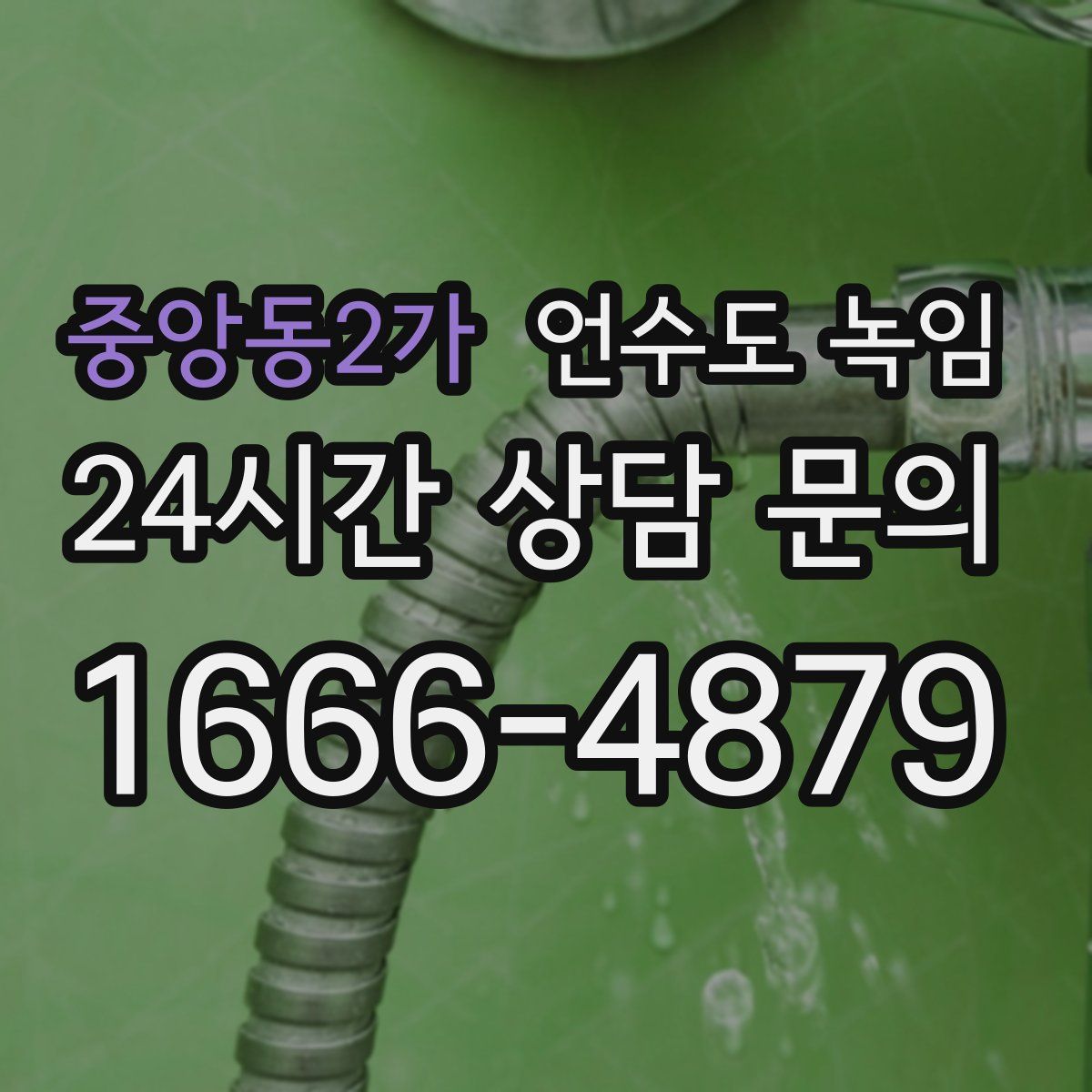 중앙동2가 언수도 녹임