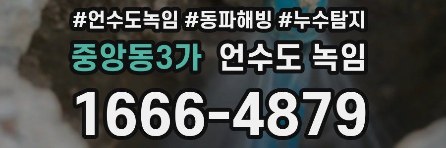 중앙동3가 언수도 녹임