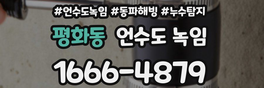 평화동 언수도 녹임