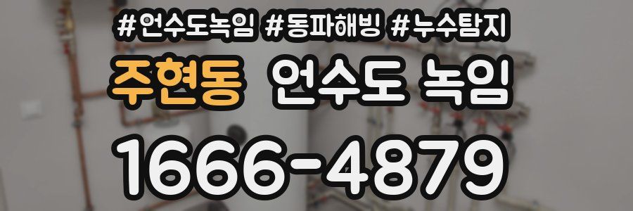 주현동 언수도 녹임