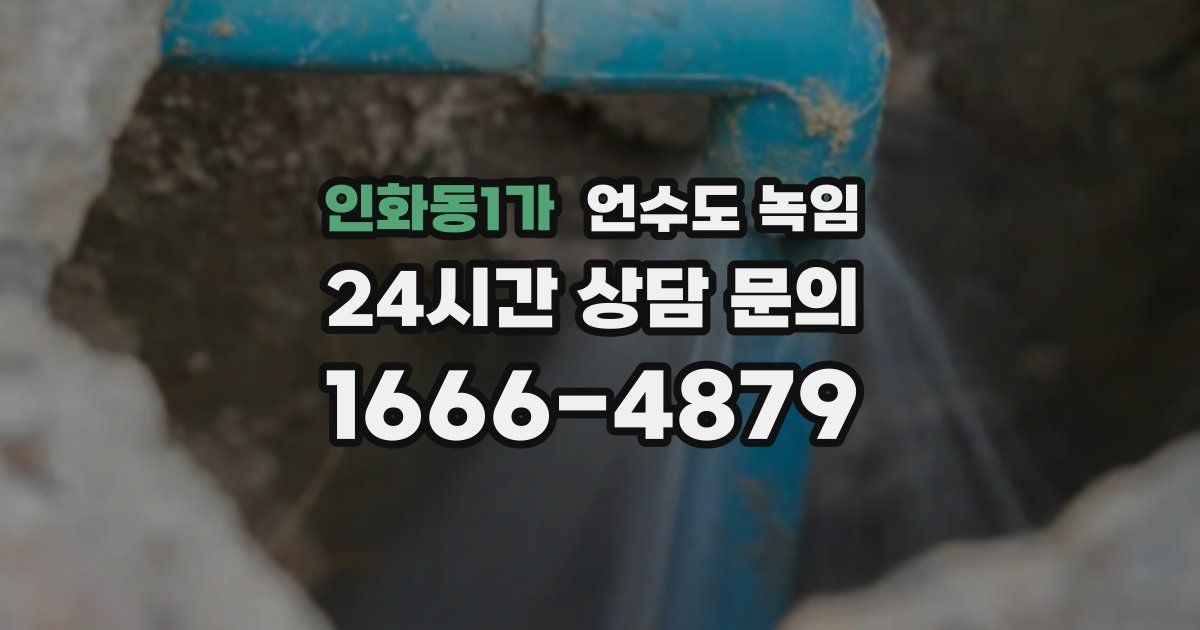 인화동1가 언수도 녹임