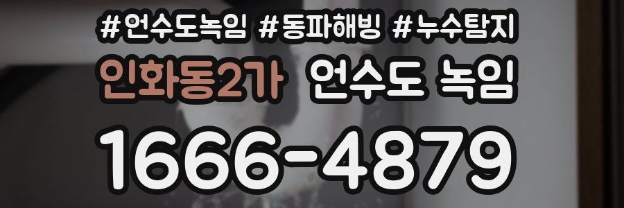 인화동2가 언수도 녹임