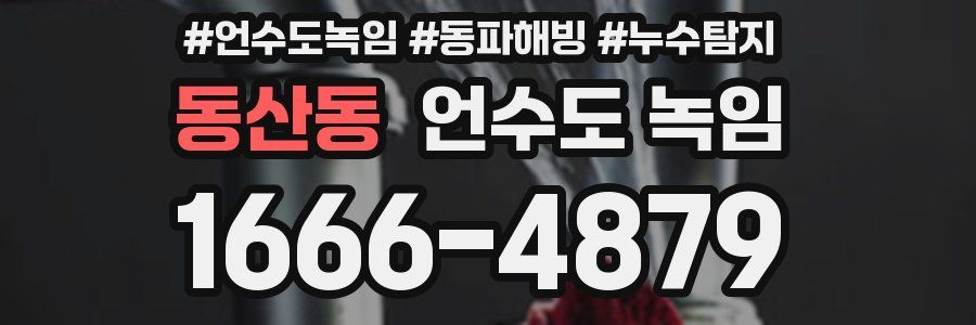 동산동 언수도 녹임