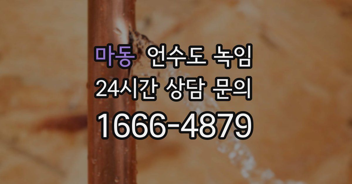 마동 언수도 녹임