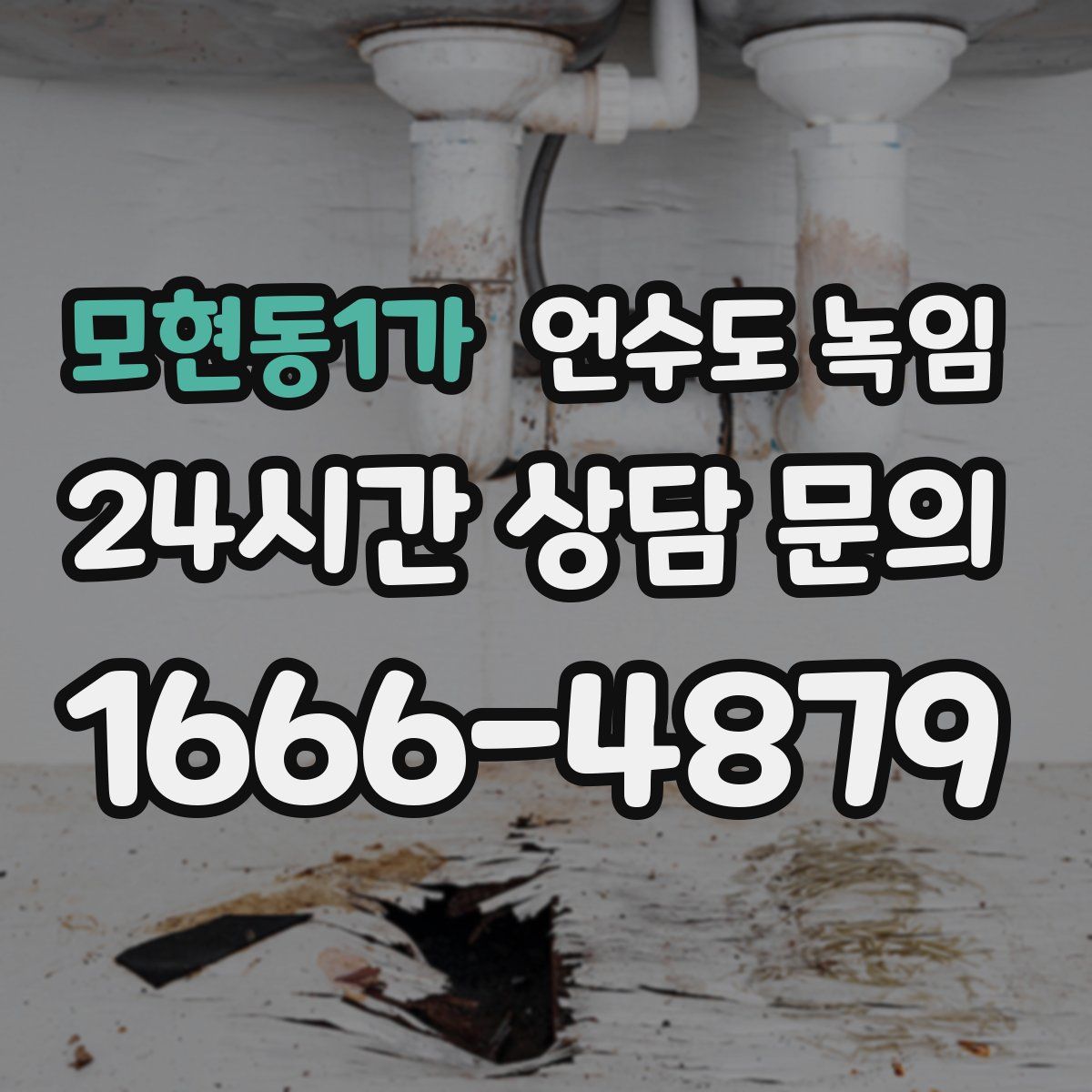 모현동1가 언수도 녹임
