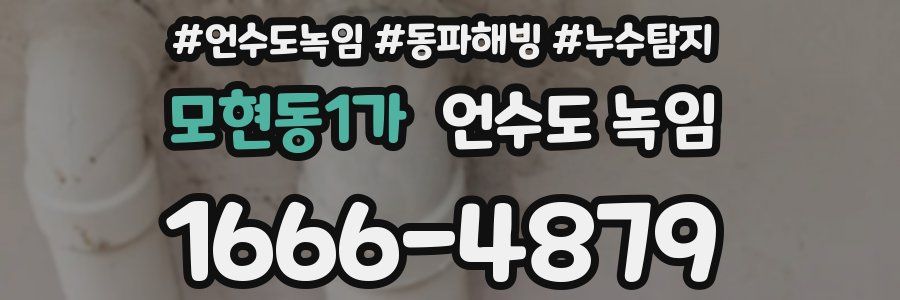 모현동1가 언수도 녹임