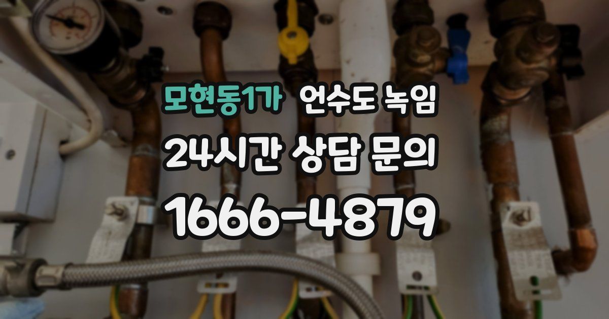 모현동1가 언수도 녹임