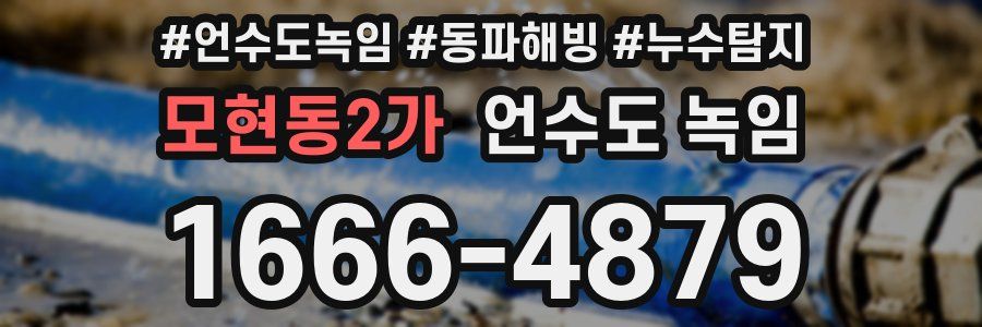 모현동2가 언수도 녹임