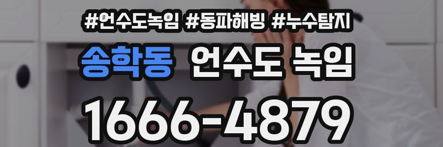 송학동 언수도 녹임