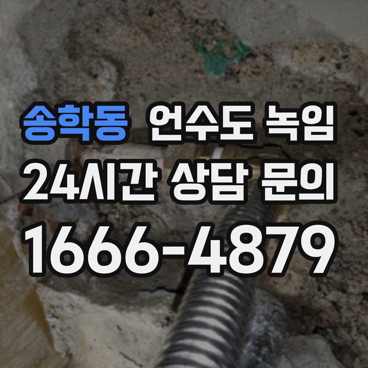 송학동 언수도 녹임