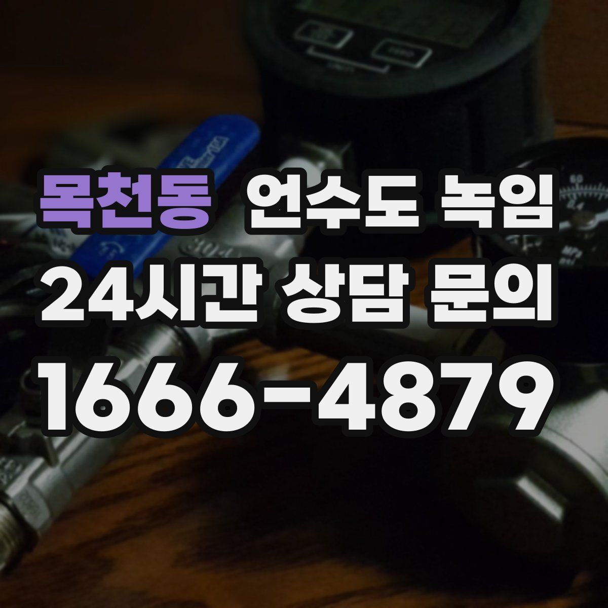 목천동 언수도 녹임