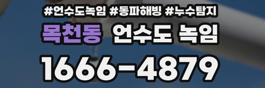 목천동 언수도 녹임