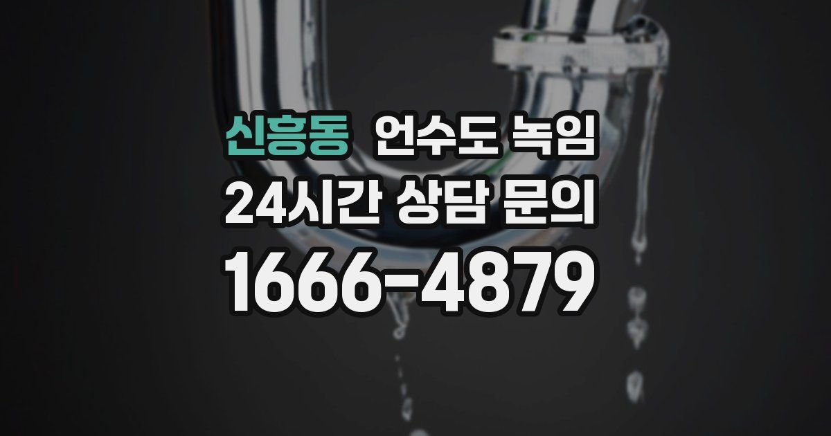 신흥동 언수도 녹임