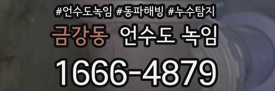 금강동 언수도 녹임