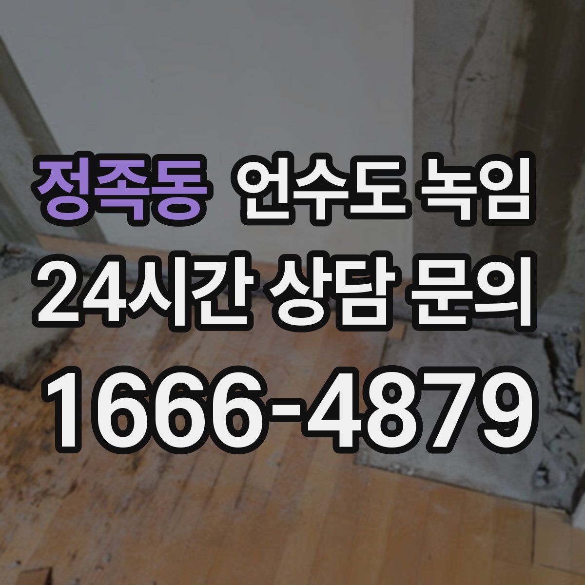 정족동 언수도 녹임