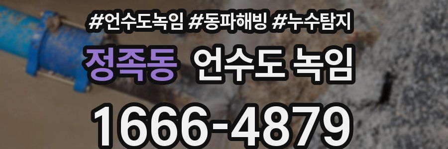 정족동 언수도 녹임