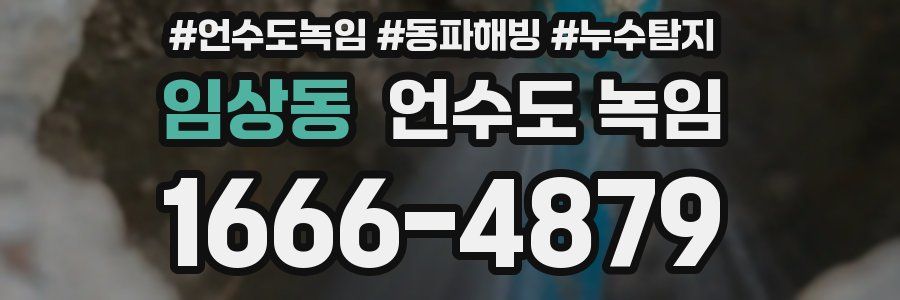임상동 언수도 녹임
