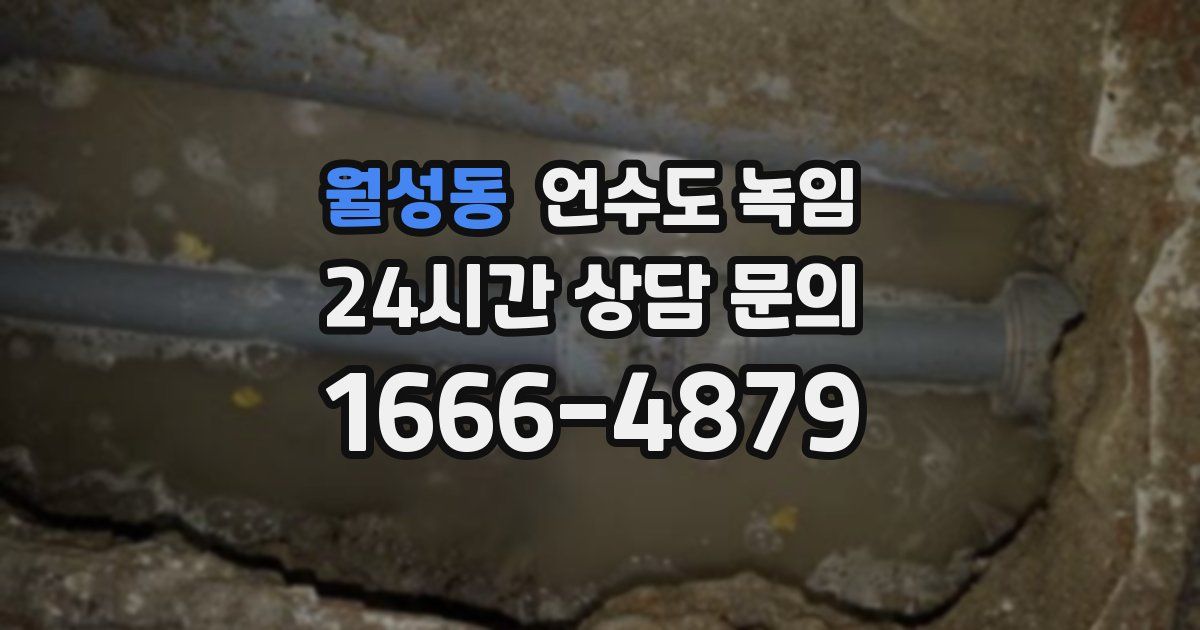 월성동 언수도 녹임