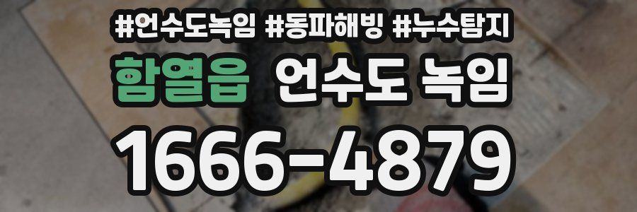 함열읍 언수도 녹임