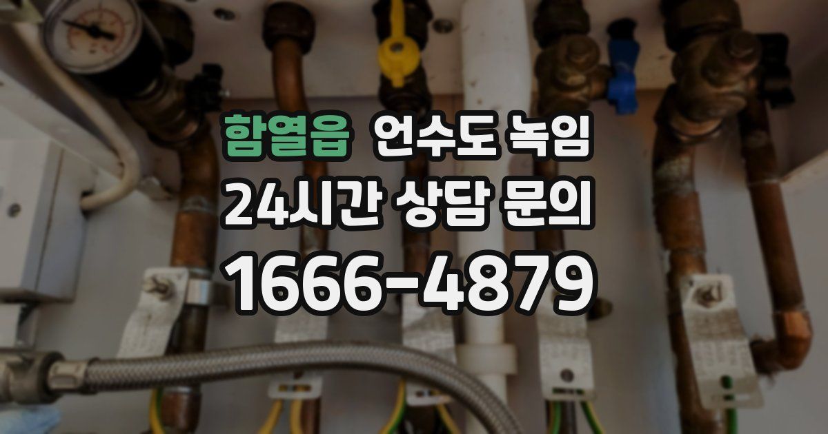 함열읍 언수도 녹임