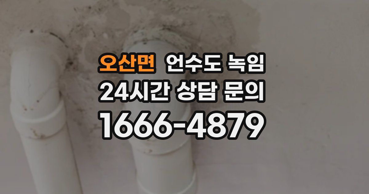 오산면 언수도 녹임