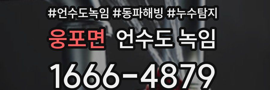 웅포면 언수도 녹임