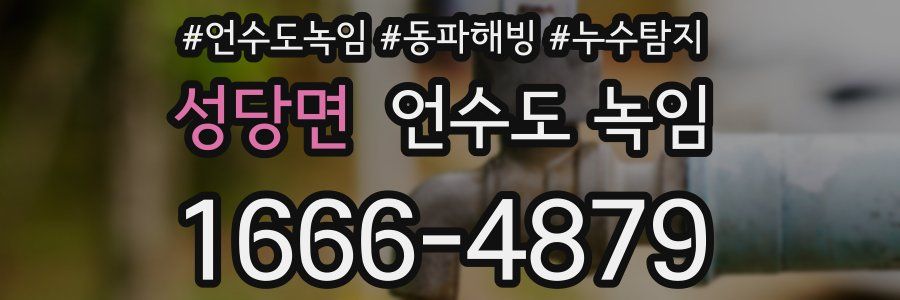 성당면 언수도 녹임