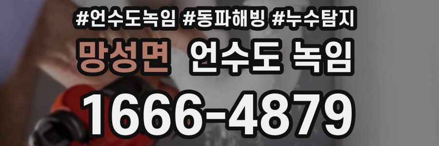 망성면 언수도 녹임