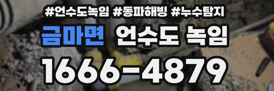 금마면 언수도 녹임